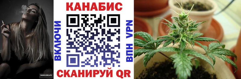 Каннабис план  продажа наркотиков  Навашино 
